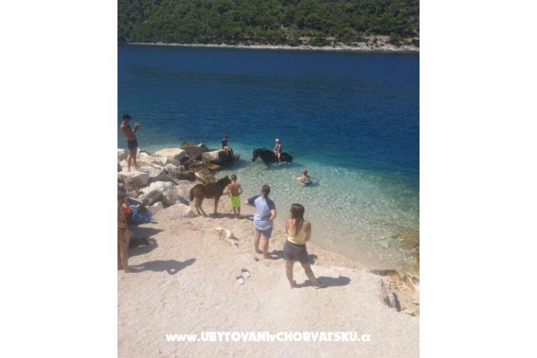 Vila Punta – foto 10