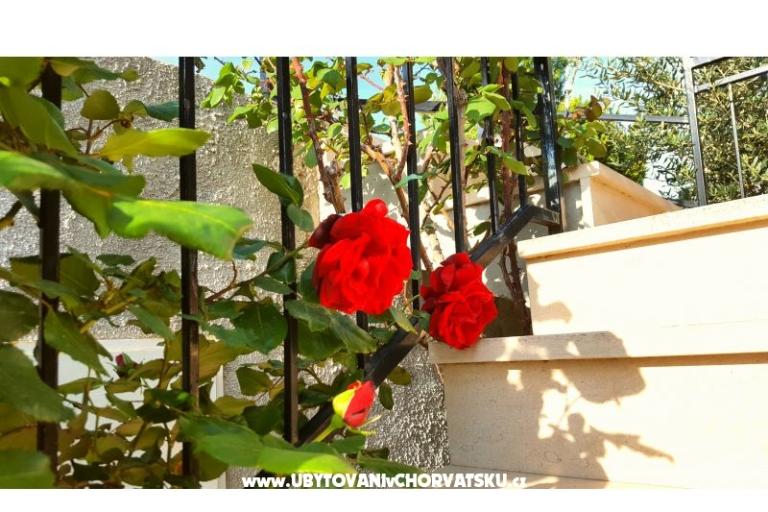 Apartmani Bezma – foto 3