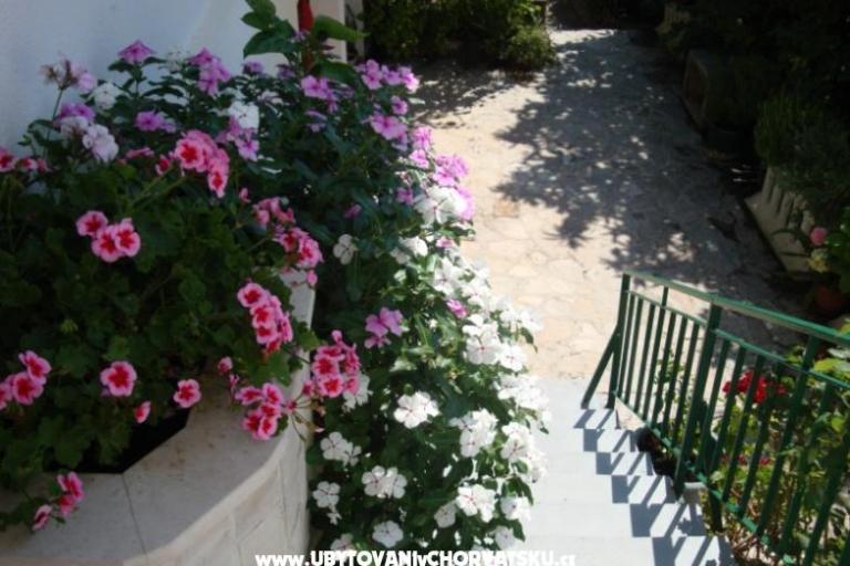 Apartman Nada Žamić – foto 7