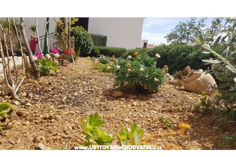 Apartmani Tomas Brela – foto 6