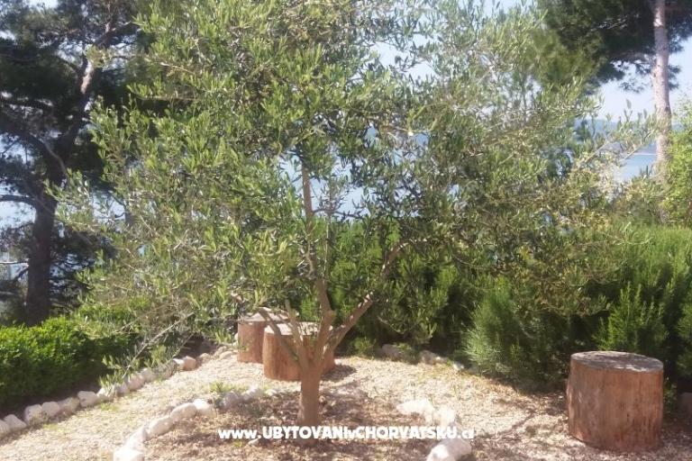 Apartmani Vesna  - Brela – foto 5