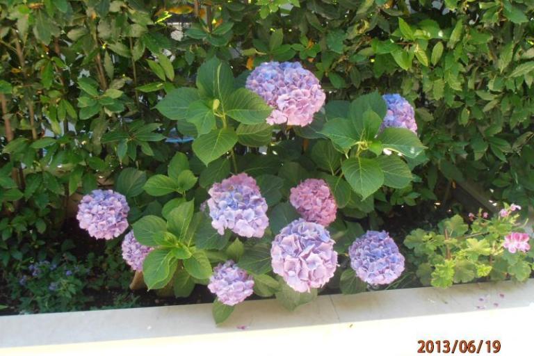 Apartman Renata – foto 17