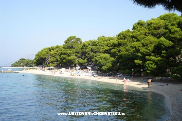 Apartmani &amp; Sobe Nena – foto 9