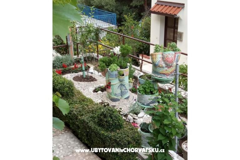 Apartmani  Ivo Pikolo – foto 5