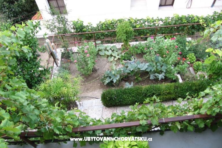 Apartmani  Ivo Pikolo – foto 9