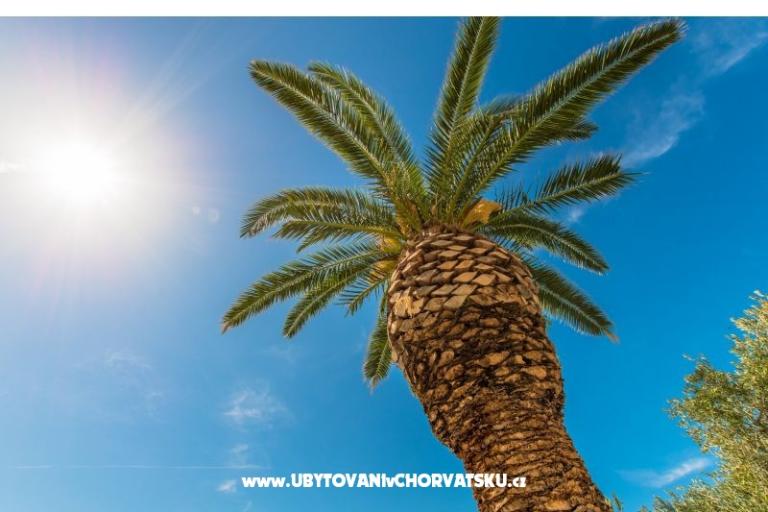 AApartmani Brela Jago – foto 3