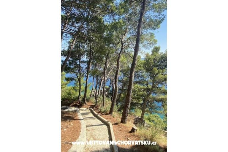Apartmani EOL – foto 11