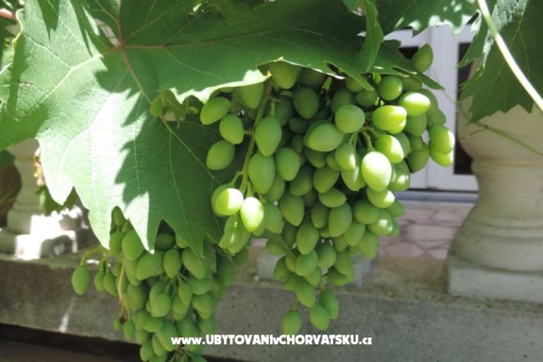 Kuća Željko i Marija – foto 13