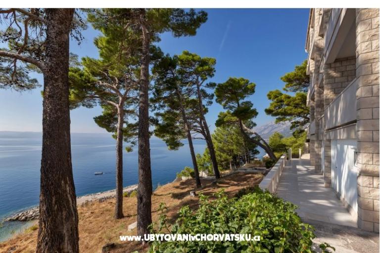 Pine Canopy Studios and Apartmani – foto 16