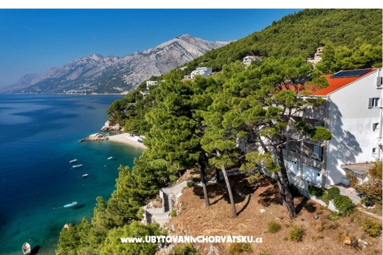 Pine Canopy Studios and Apartmani – foto 2