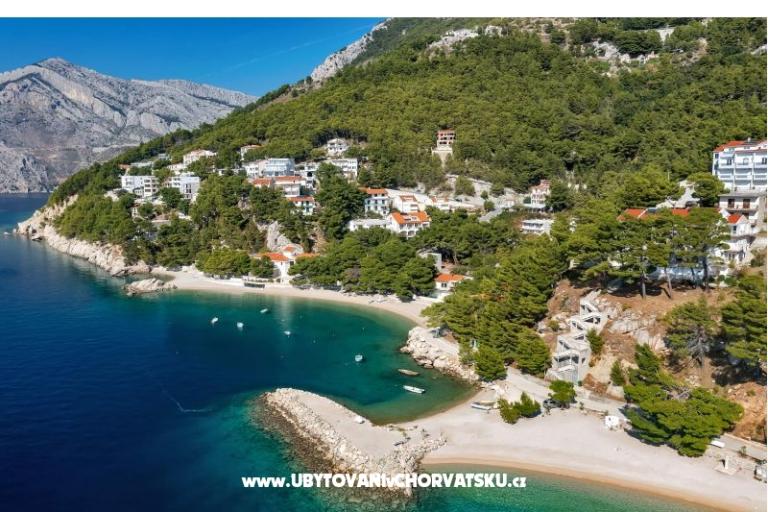Pine Canopy Studios and Apartmani – foto 4
