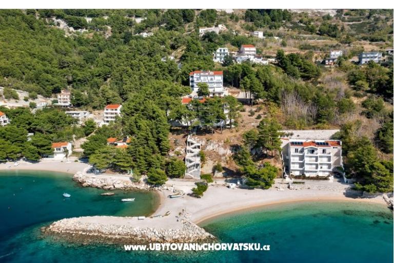 Pine Canopy Studios and Apartmani – foto 5