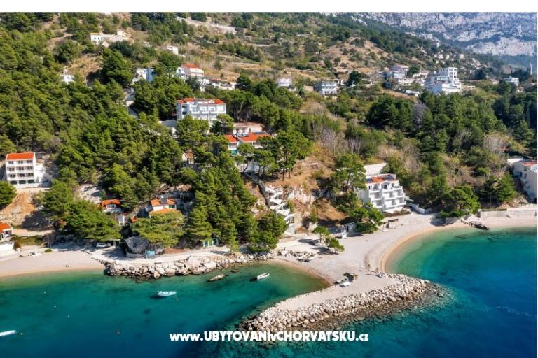 Pine Canopy Studios and Apartmani – foto 6