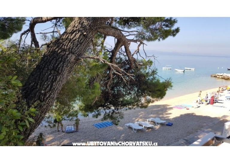 Kuća Pokoje Soba Villa Sodan – foto 11