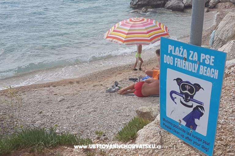 Apartmani Mrnjavac Željko – foto 5