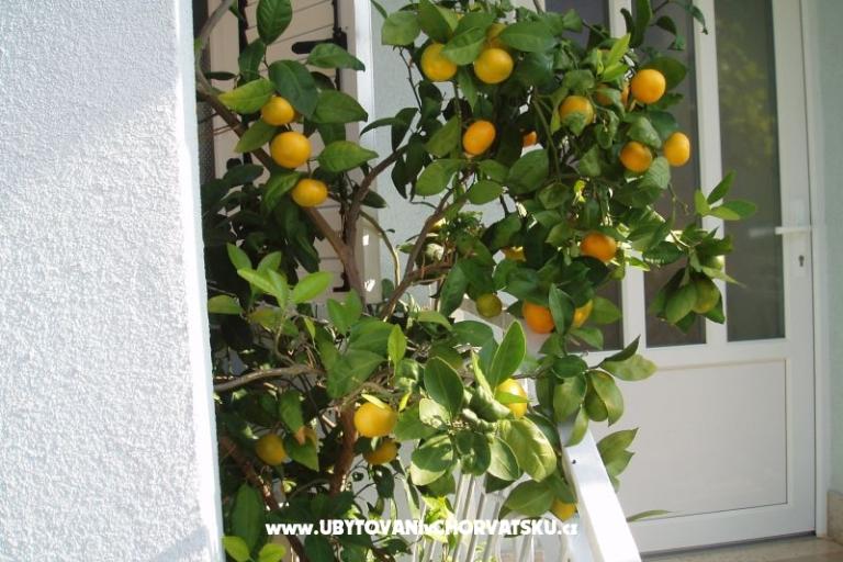 Apartmani Orbanić – foto 14