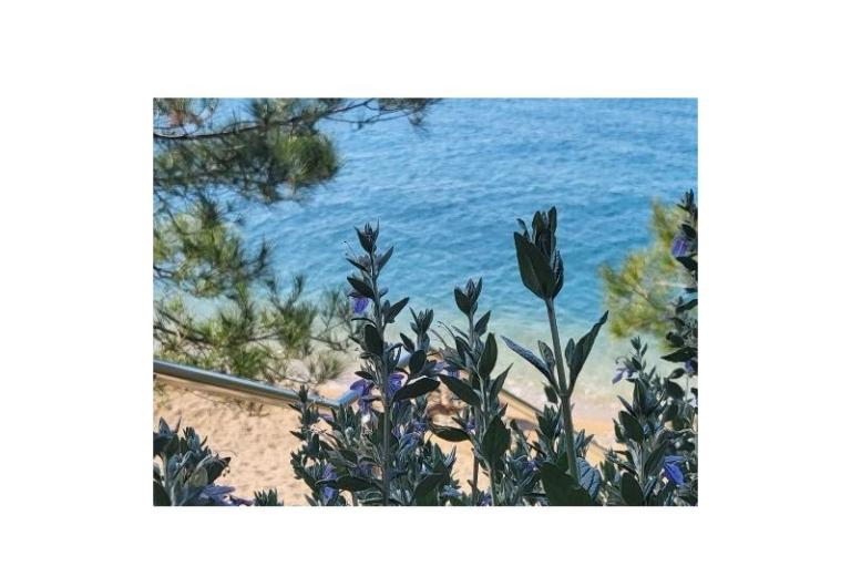 Kuća za odmor – foto 4