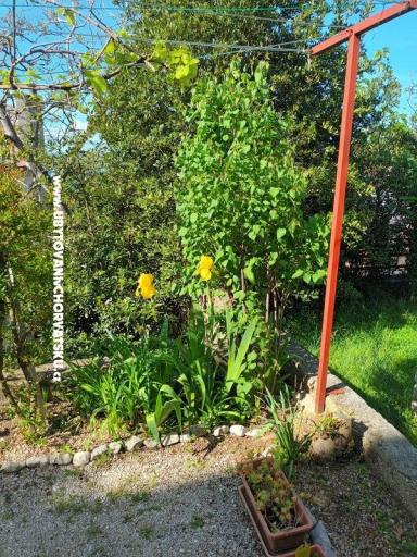 Apartmani Rosi – foto 6