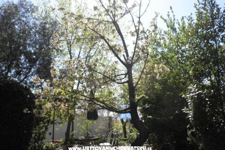 Apartmani Rosi – foto 9