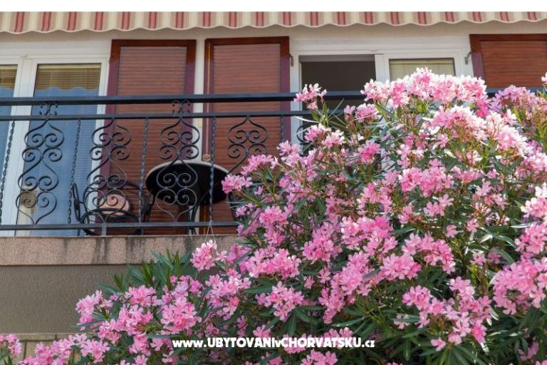 Apartmani Tea – foto 5