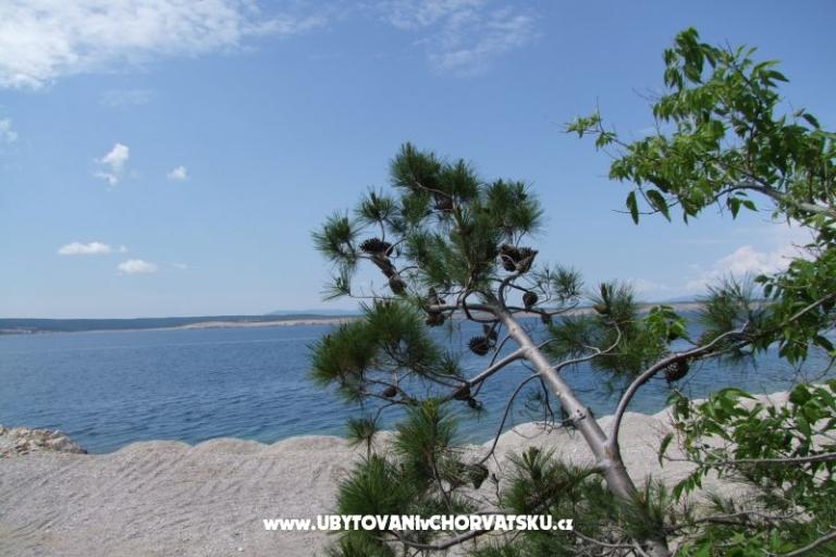 Apartmani Višnja – foto 13