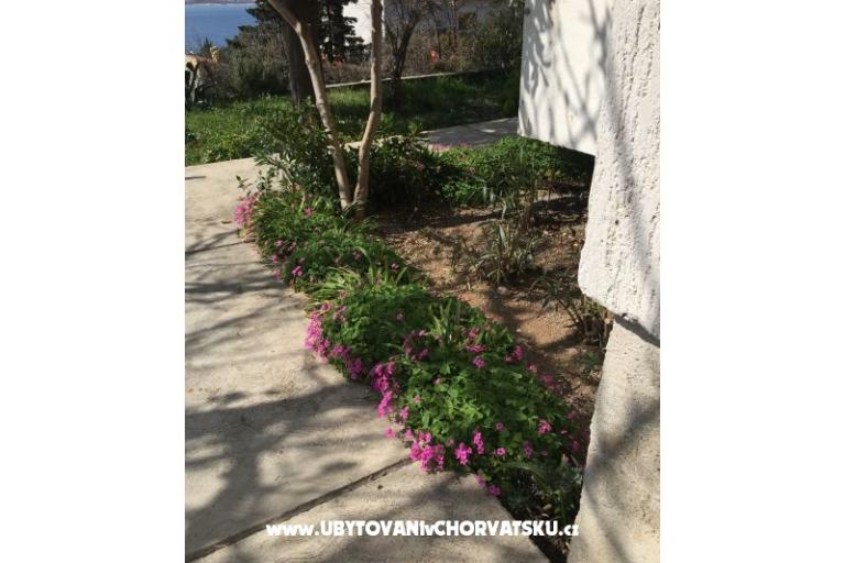 Apartman Sunny – foto 8