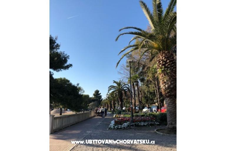 Apartmani Sun and Sea – foto 10