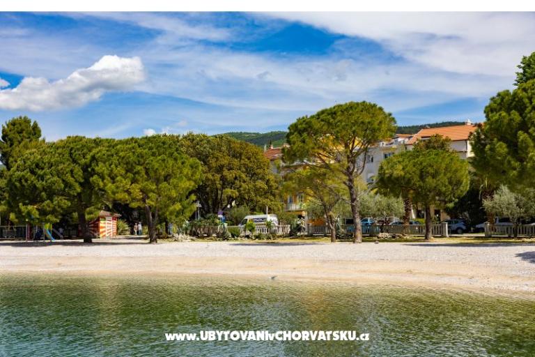 Beach Center – foto 5