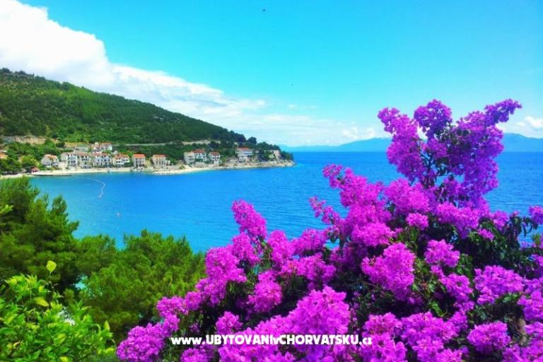 Aparmani Marin  – foto 6