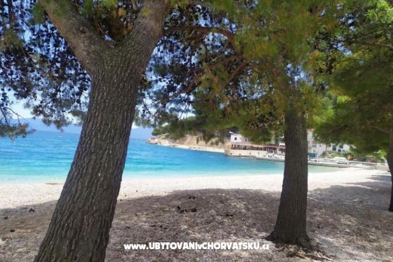 Apartmani Plavi Jadran – foto 12