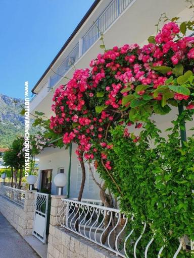Apartmani Villa Ivan Drvenik – foto 2