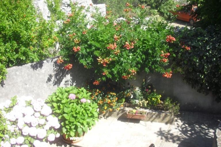 Apartman Jerkunica – foto 11