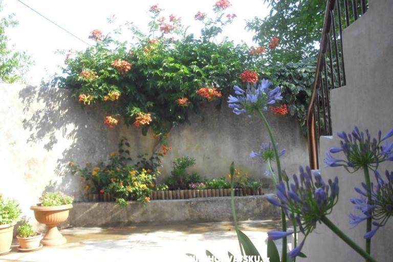 Apartman Jerkunica – foto 8