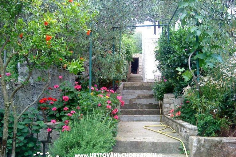 Apartman Žulji – foto 5