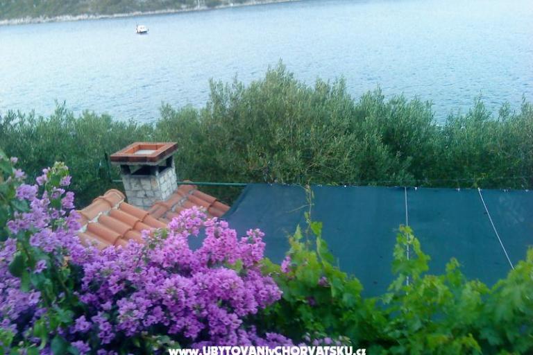 Apartman Žulji – foto 8