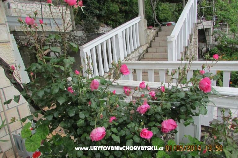 Apartmani  Anka – foto 17