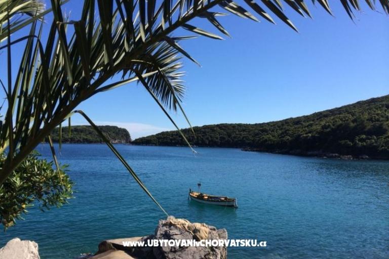 Apartmani Antunović – foto 16