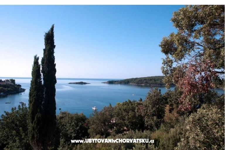 Apartman Iva – foto 2