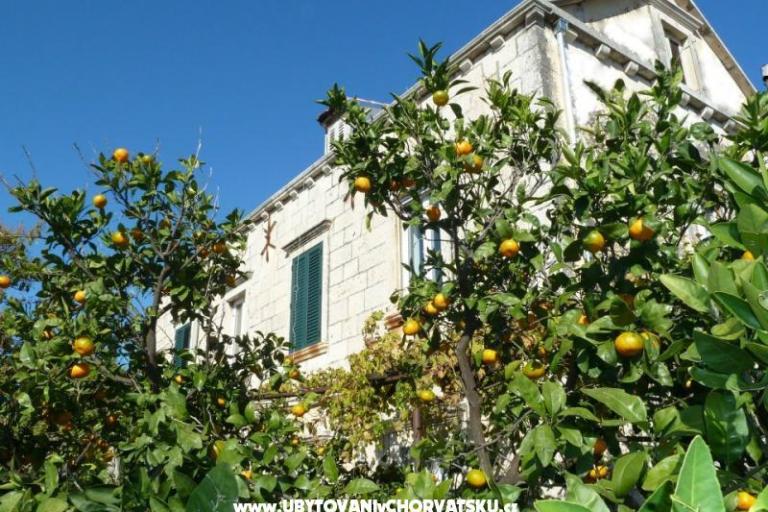 Apartmani Mir Dubrovnik – foto 2