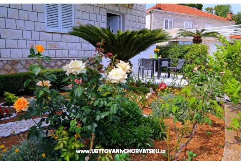 Apartmani LOVE DUBROVNIK – foto 14