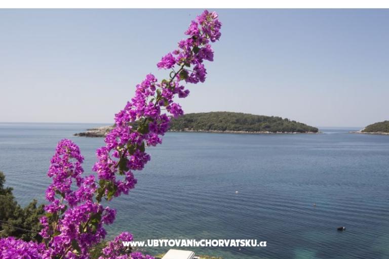 Apartmani Rašica – foto 5