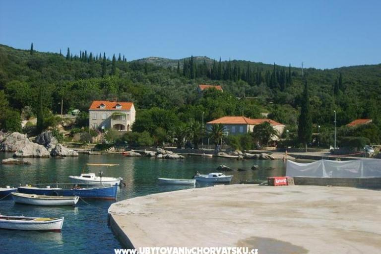 Apartmani Vidak – foto 7