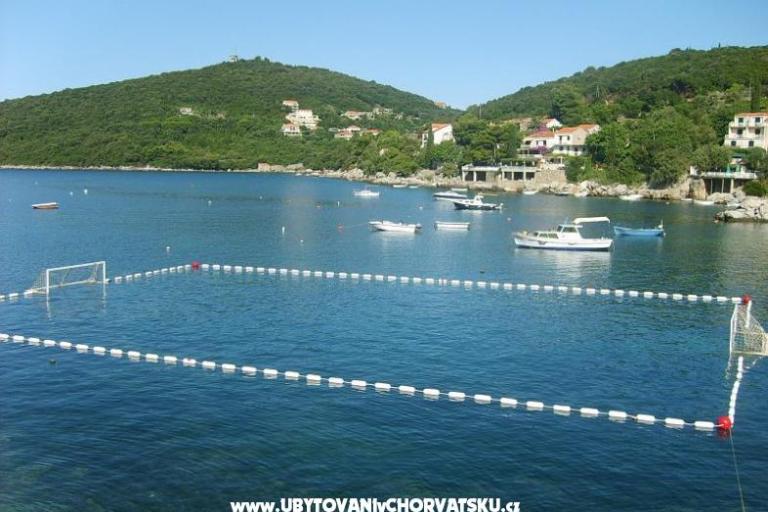 Apartmani Vidak – foto 9