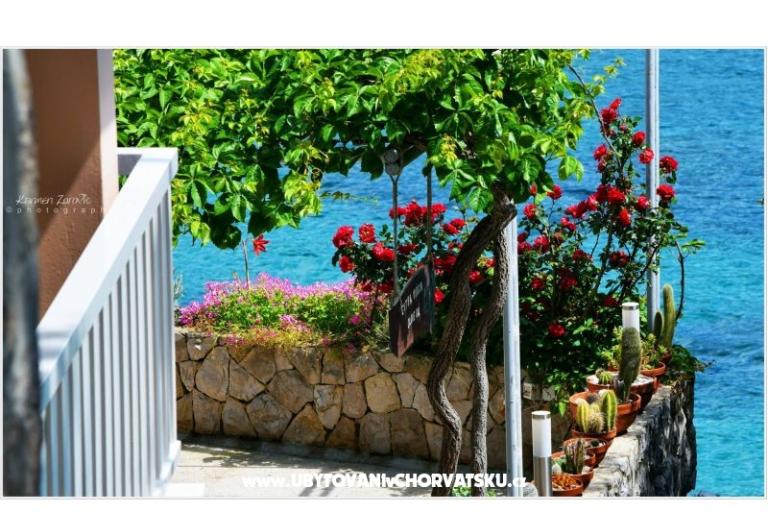 Villa Ana Apartmani – foto 3