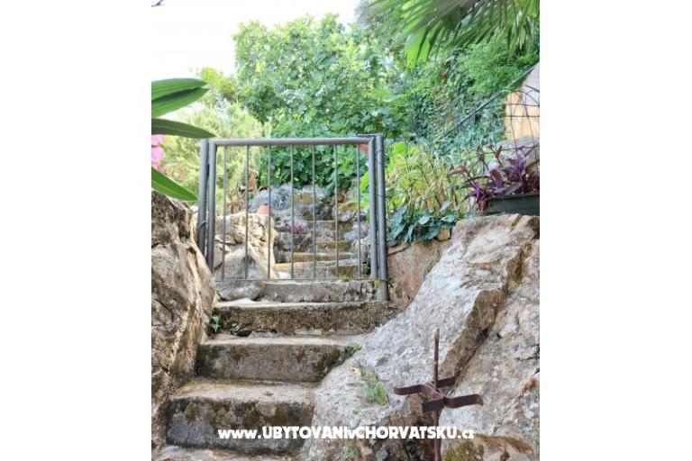 Apartmani Villa Riva Molunat – foto 17