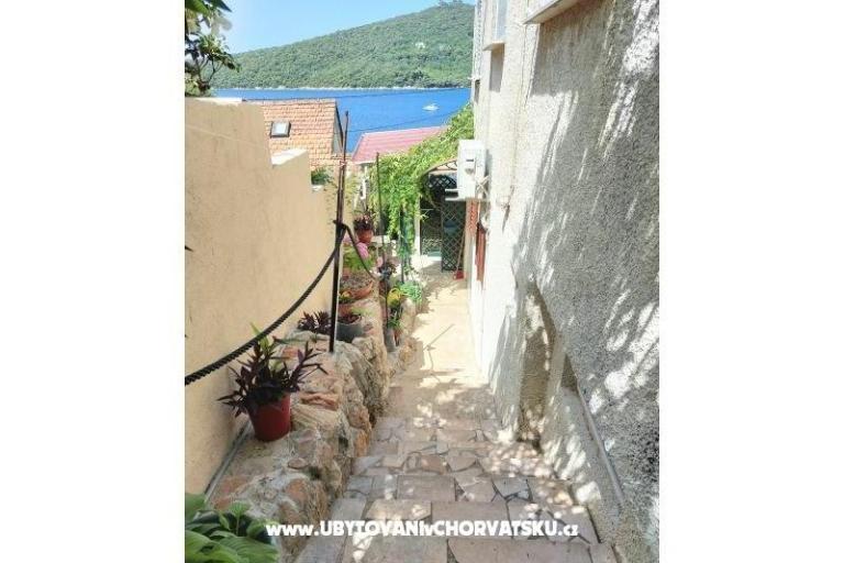Apartmani Villa Riva Molunat – foto 9