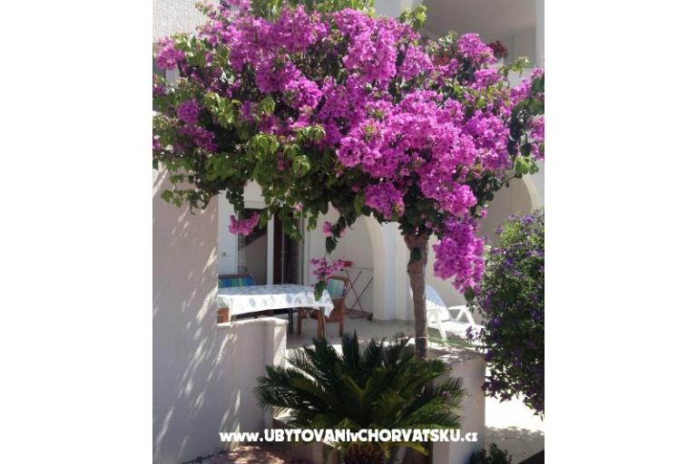 Villa Orij Apartmani – foto 5