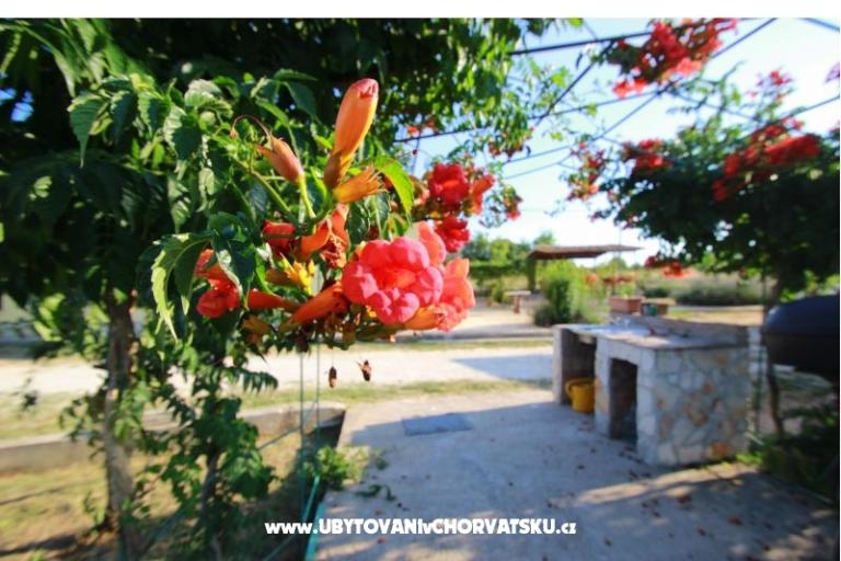 Apartman Sandra  – foto 11