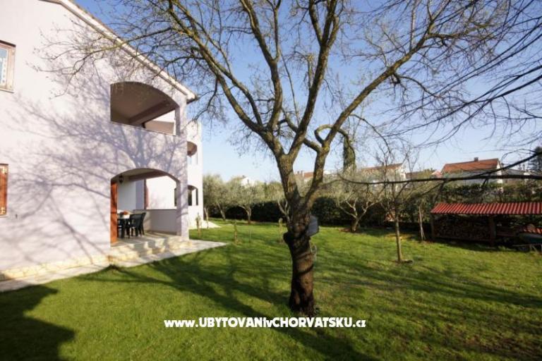 Apartmani PETRA – foto 5