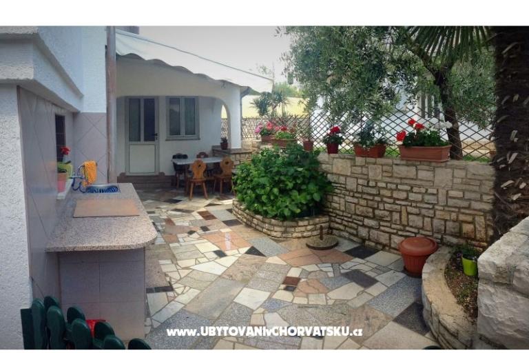 Dante – foto 6